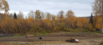 Planting Paul M. Wild, Fall 2017